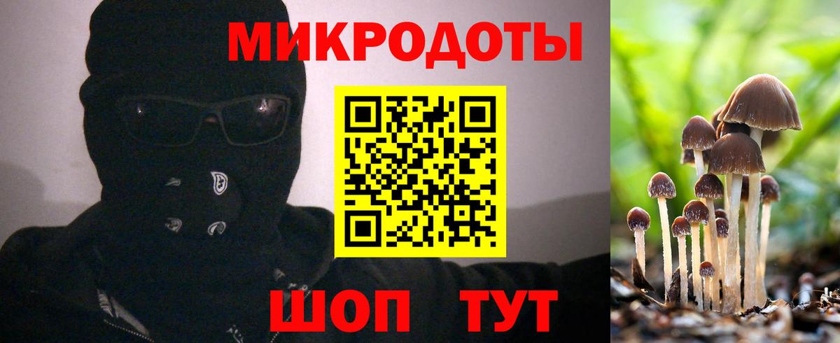 Знаменск  как найти наркотики  Вход с VPN  Псилоцибиновые грибы мицелий 